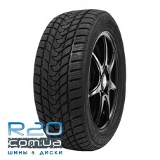 Delinte WD1 175/65 R14 82T Delinte WD1 175/65 R14 82T