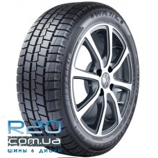 Sunny NW312 225/60 R17 103S XL